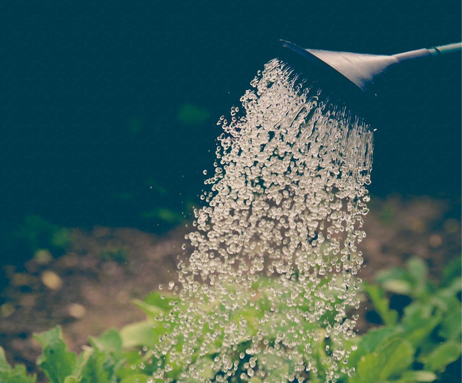 Pour Water
